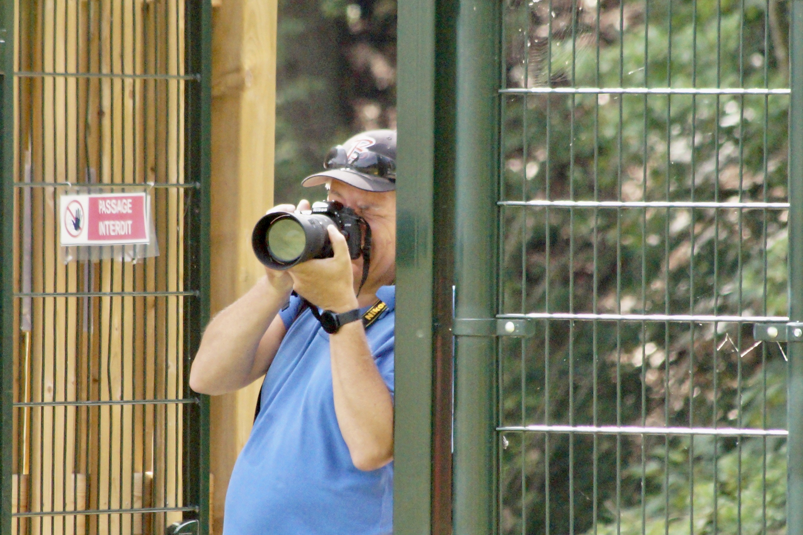 C7DA5D87-BB60-4124-A2CE-EB2BDCC81298_1_201_a