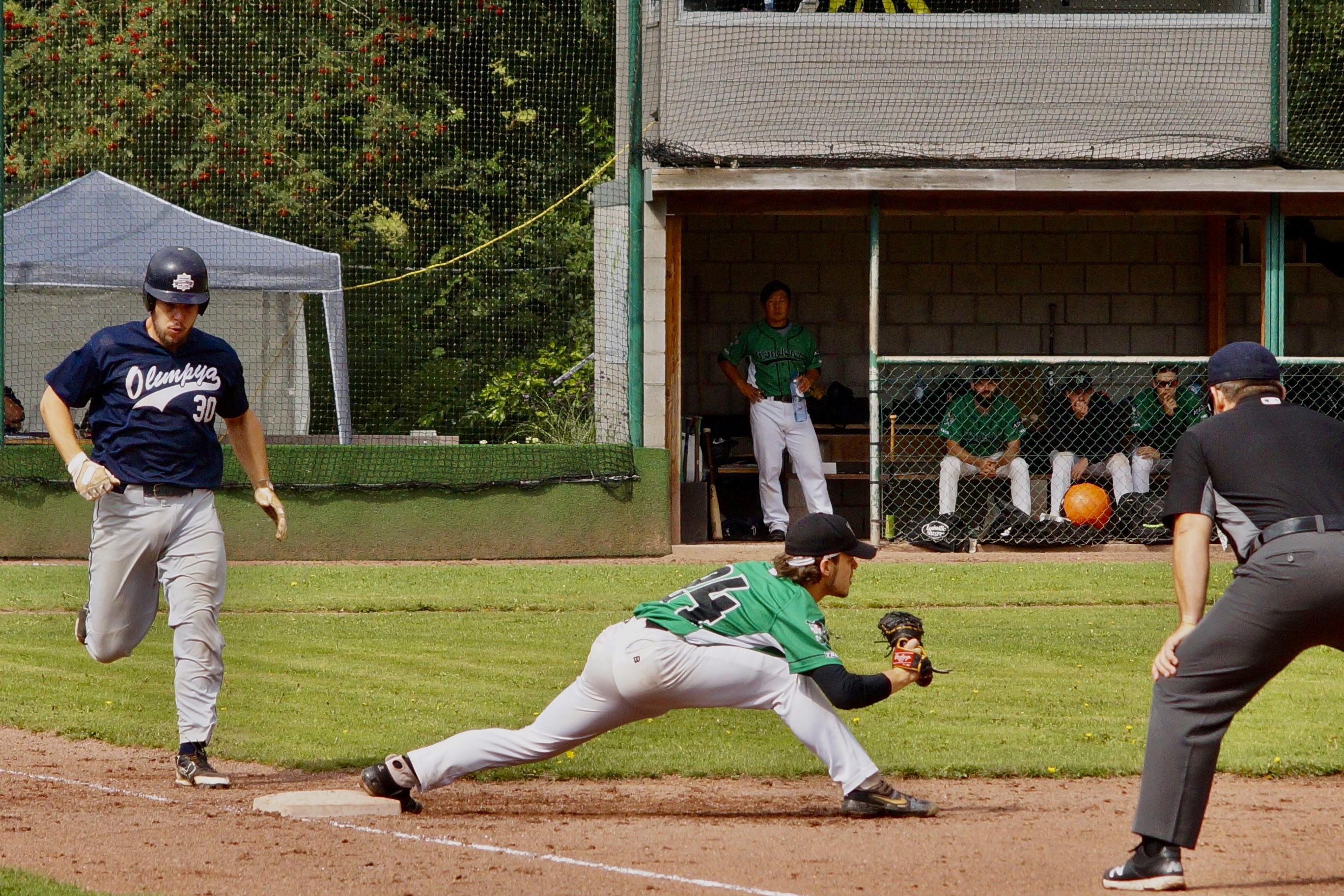 24D3C80B-EA1B-4A76-BE49-481CCD0CCDE3_1_201_a