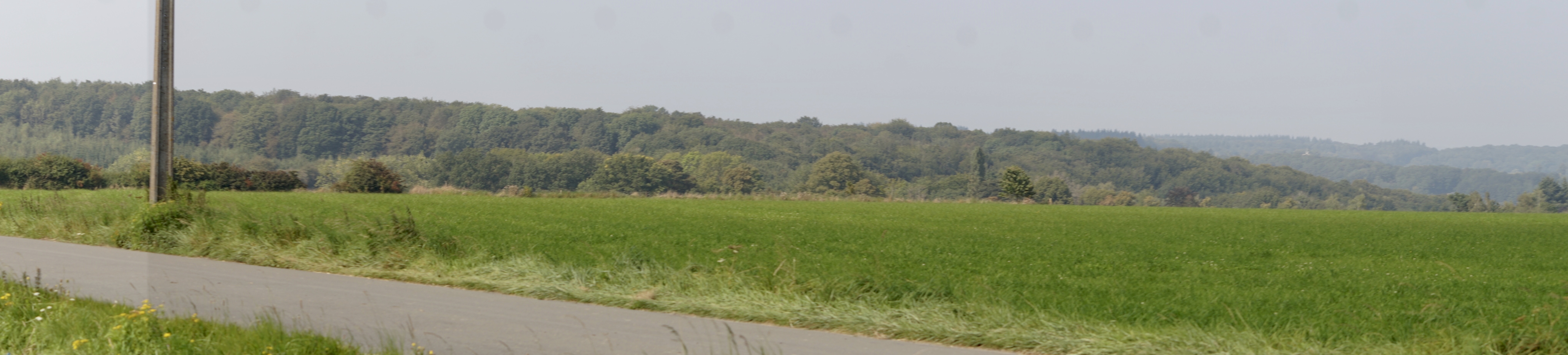 6D8A5752-C34B-45F0-985B-09D743B5ABD2_1_201_a