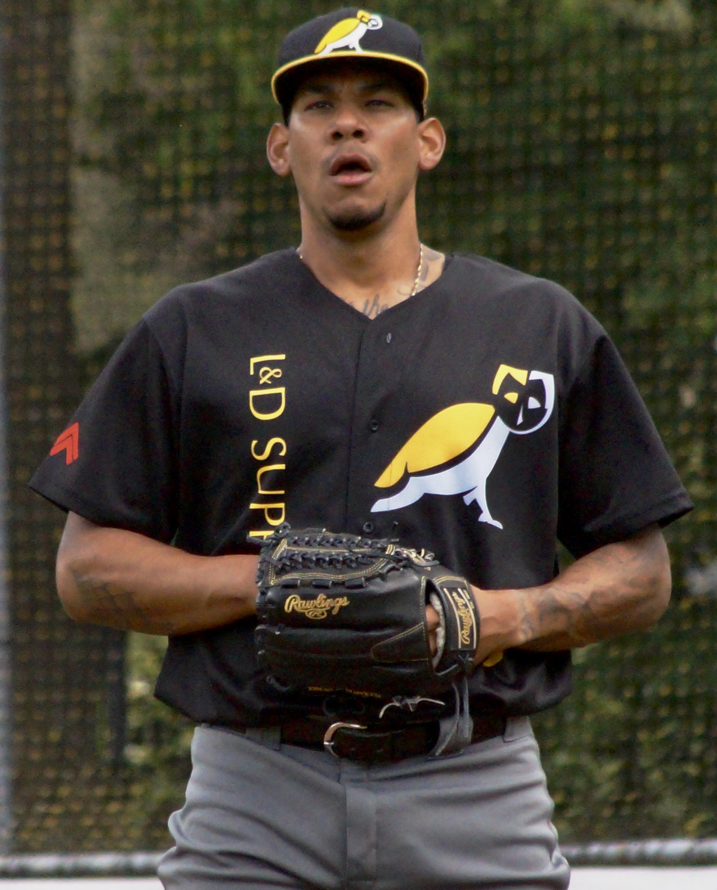 3FB052D0-8800-4C1B-A86B-9B98716E375E_1_201_a