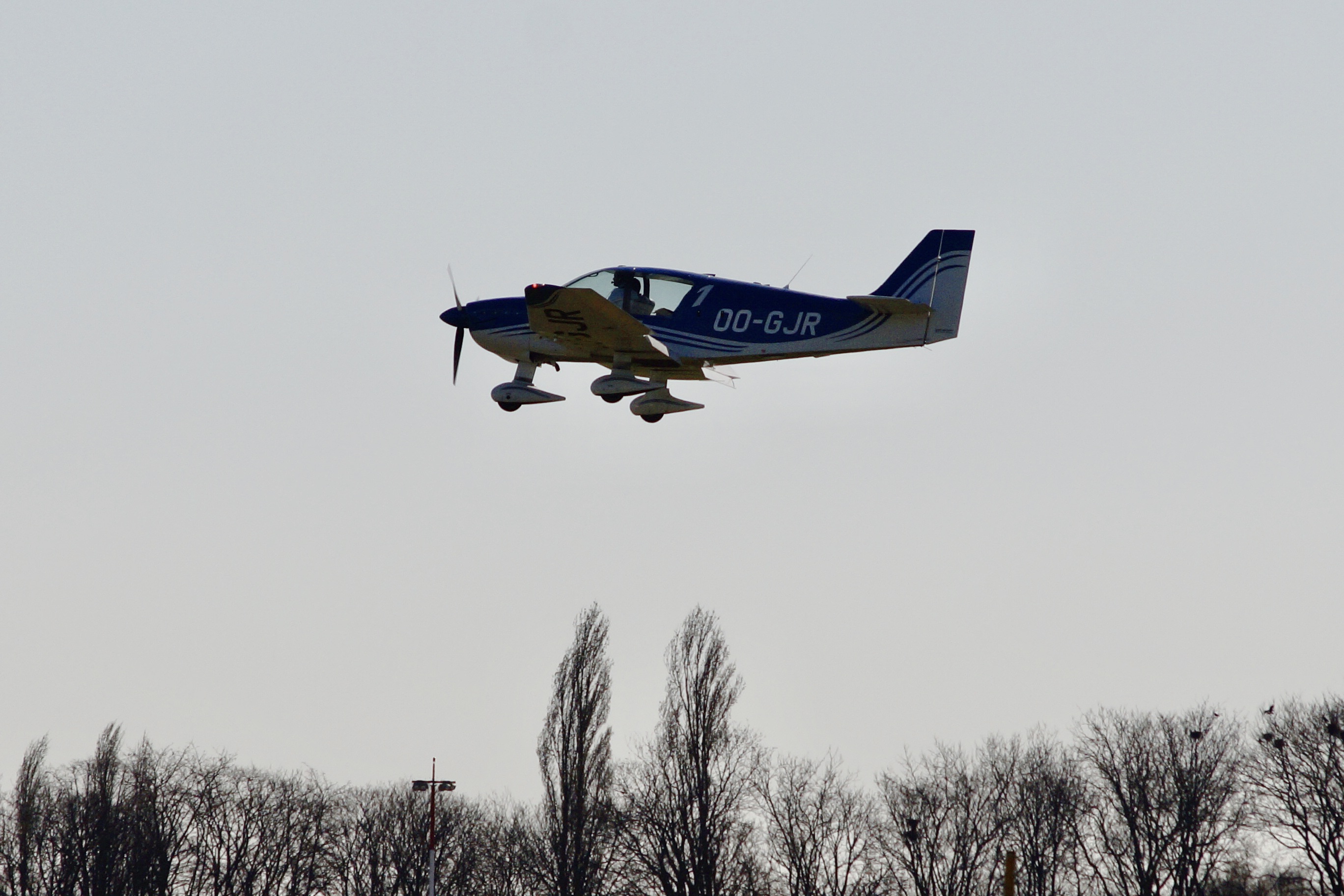 87FC40DC-4713-4A2B-B105-BC8673BEEDE7_1_201_a
