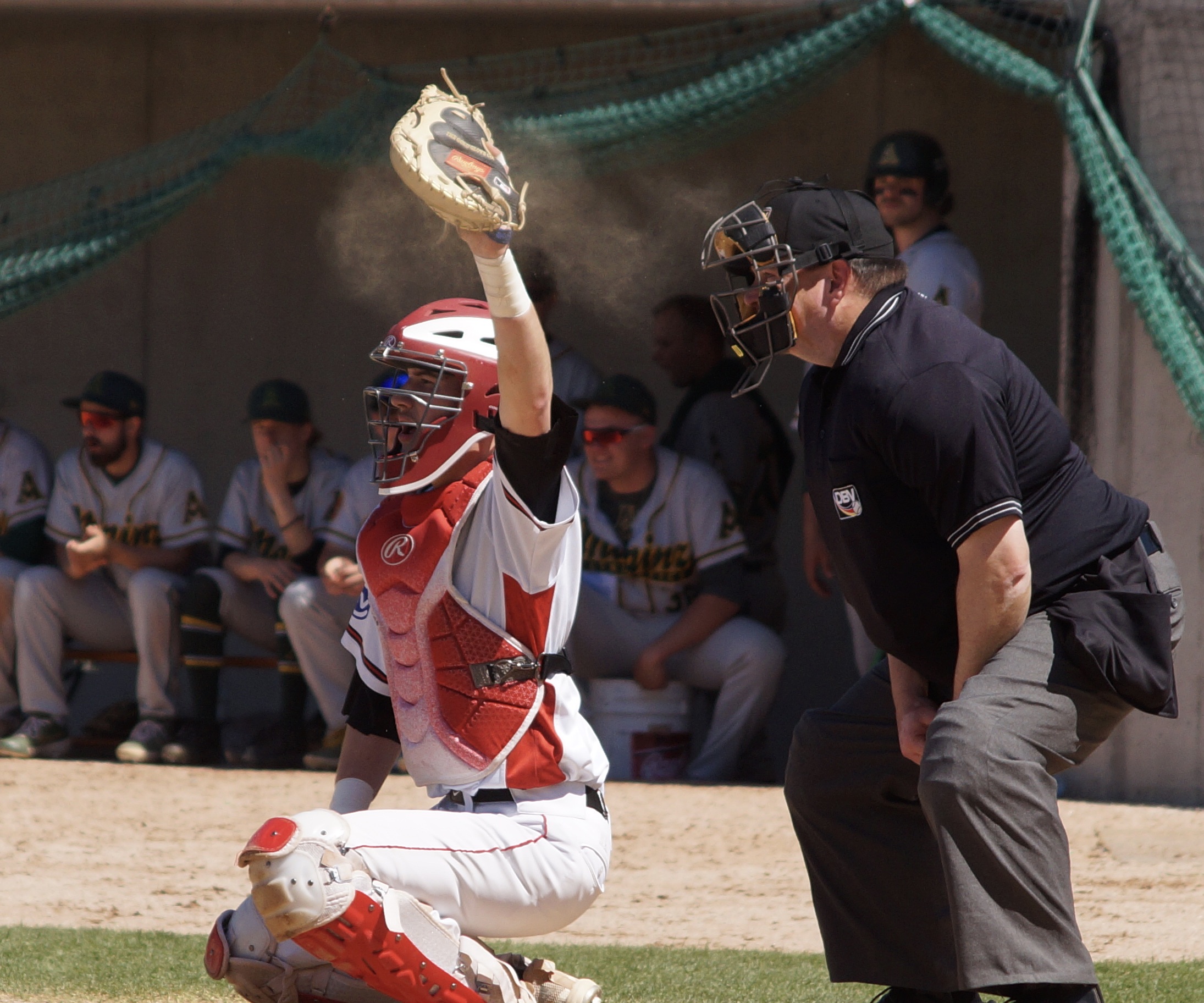 5E50B637-BF19-438B-8064-D3D4E1840CF0_1_201_a