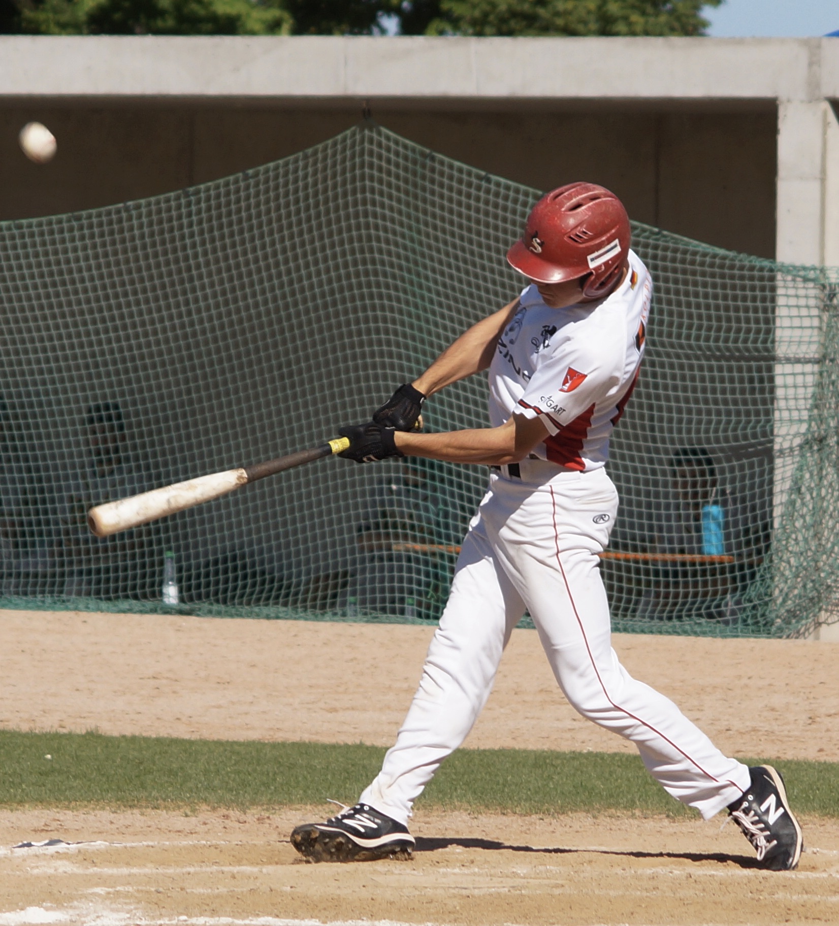 95E25BF3-15C3-4EA2-9113-CEF4E33D156D_1_201_a