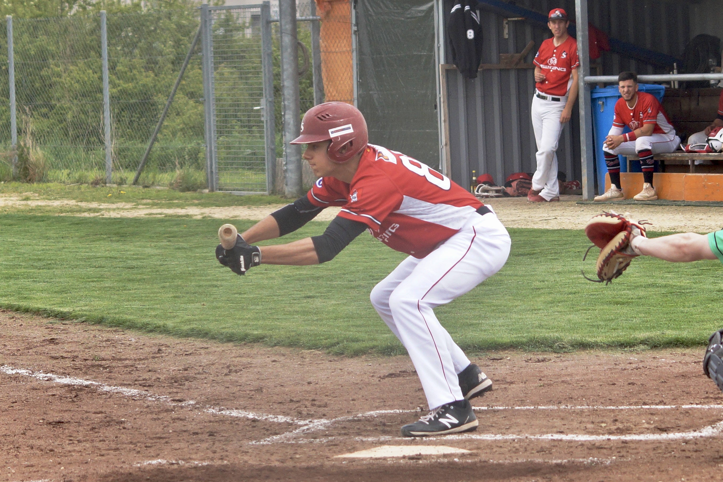 96B720B2-E9A8-43EB-824F-D0D2AED51177_1_201_a