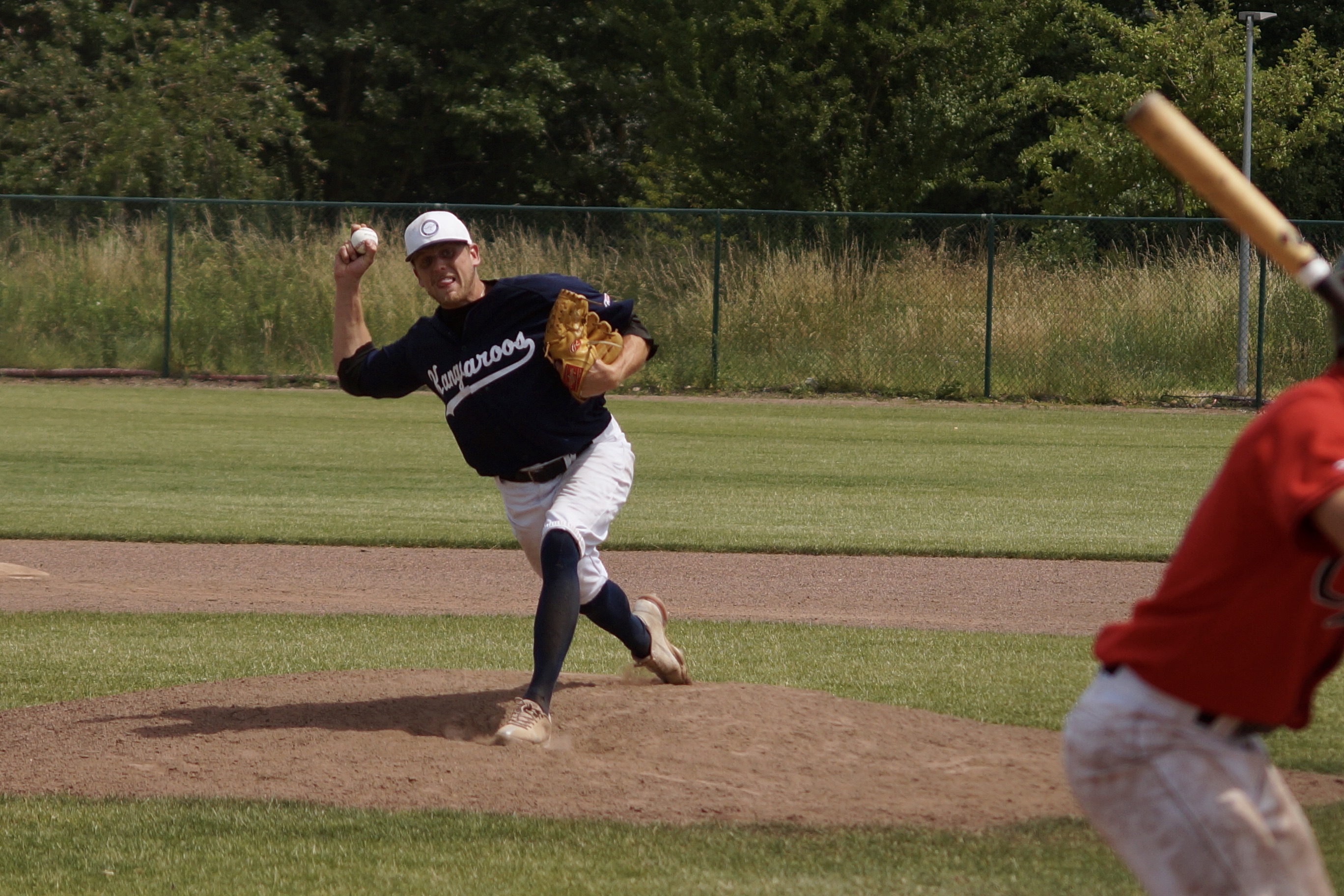 3777A911-1994-4608-9088-1F97217A36C4_1_201_a