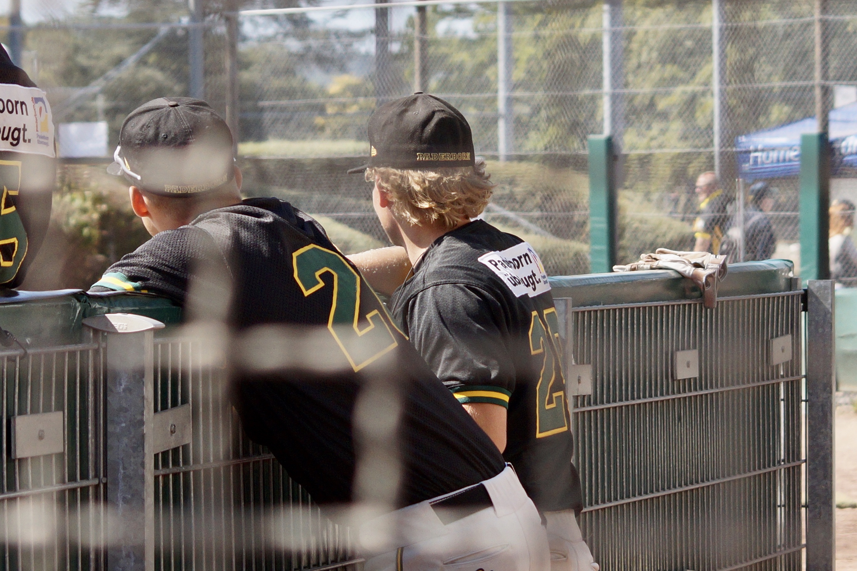 5521EB37-8F27-432A-94E1-64AA9B434C13_1_201_a