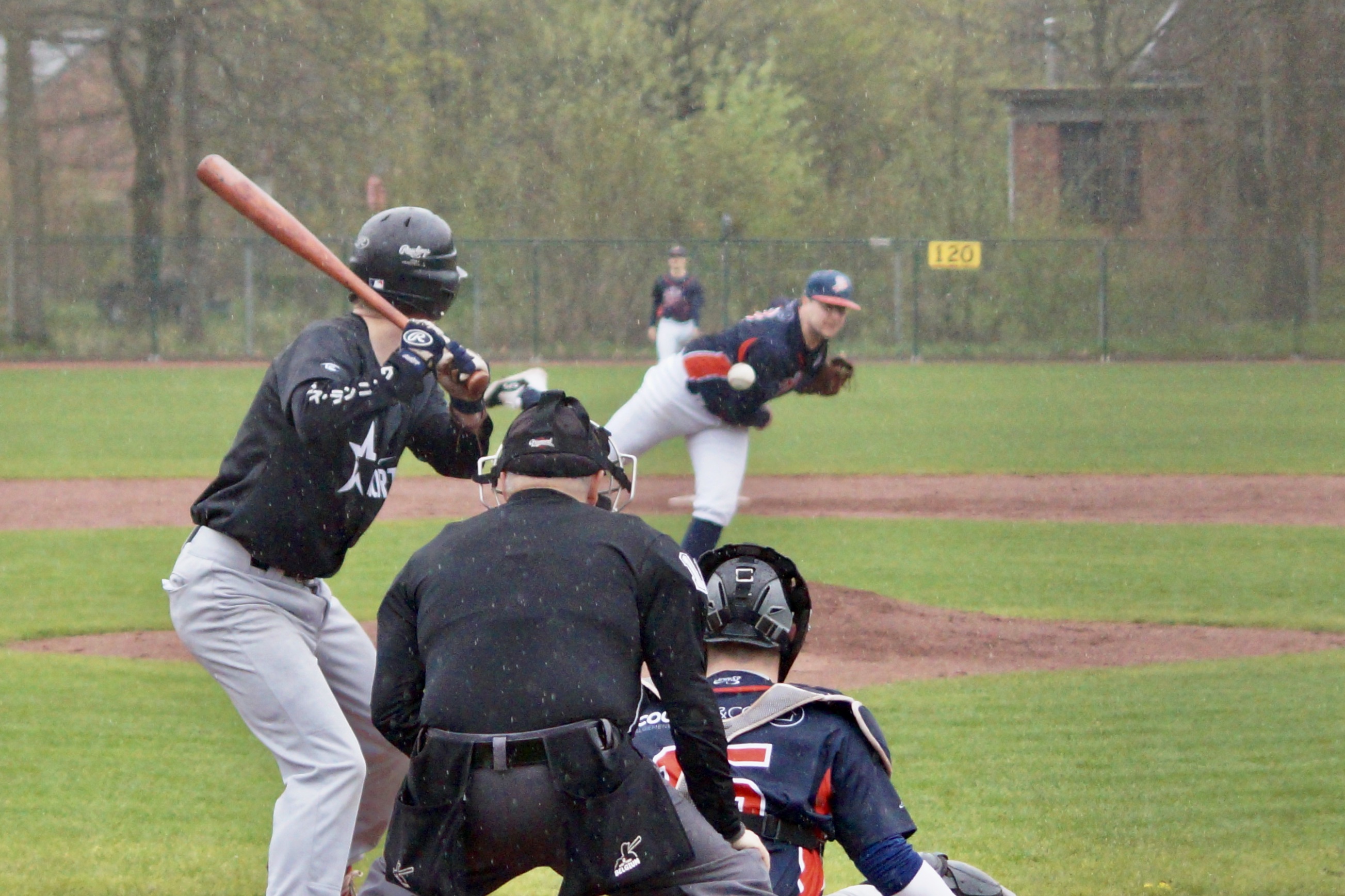 265D8FD7-6732-484E-8D67-ACDDF8C3F68F_1_201_a