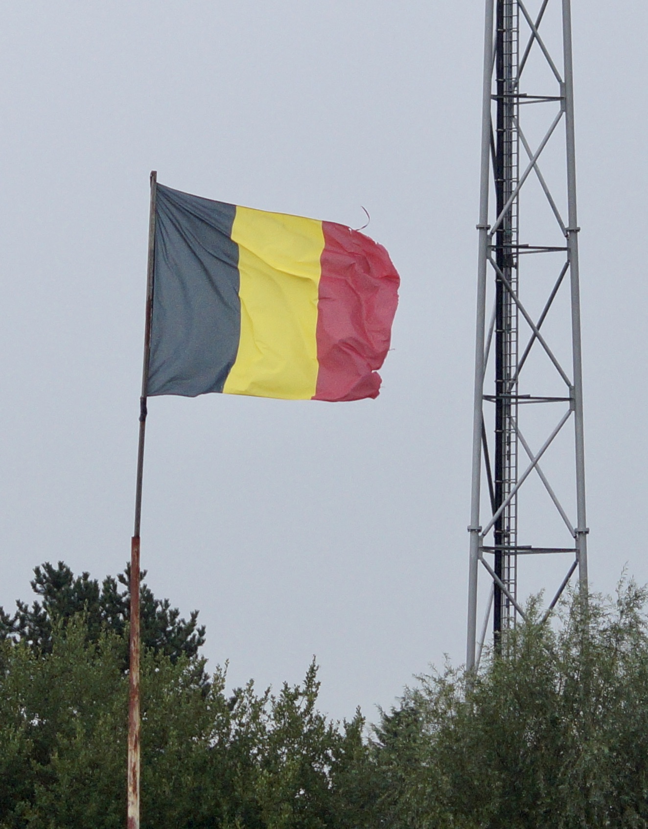 341FB531-55FA-4571-A526-D766D3B1FD30_1_201_a