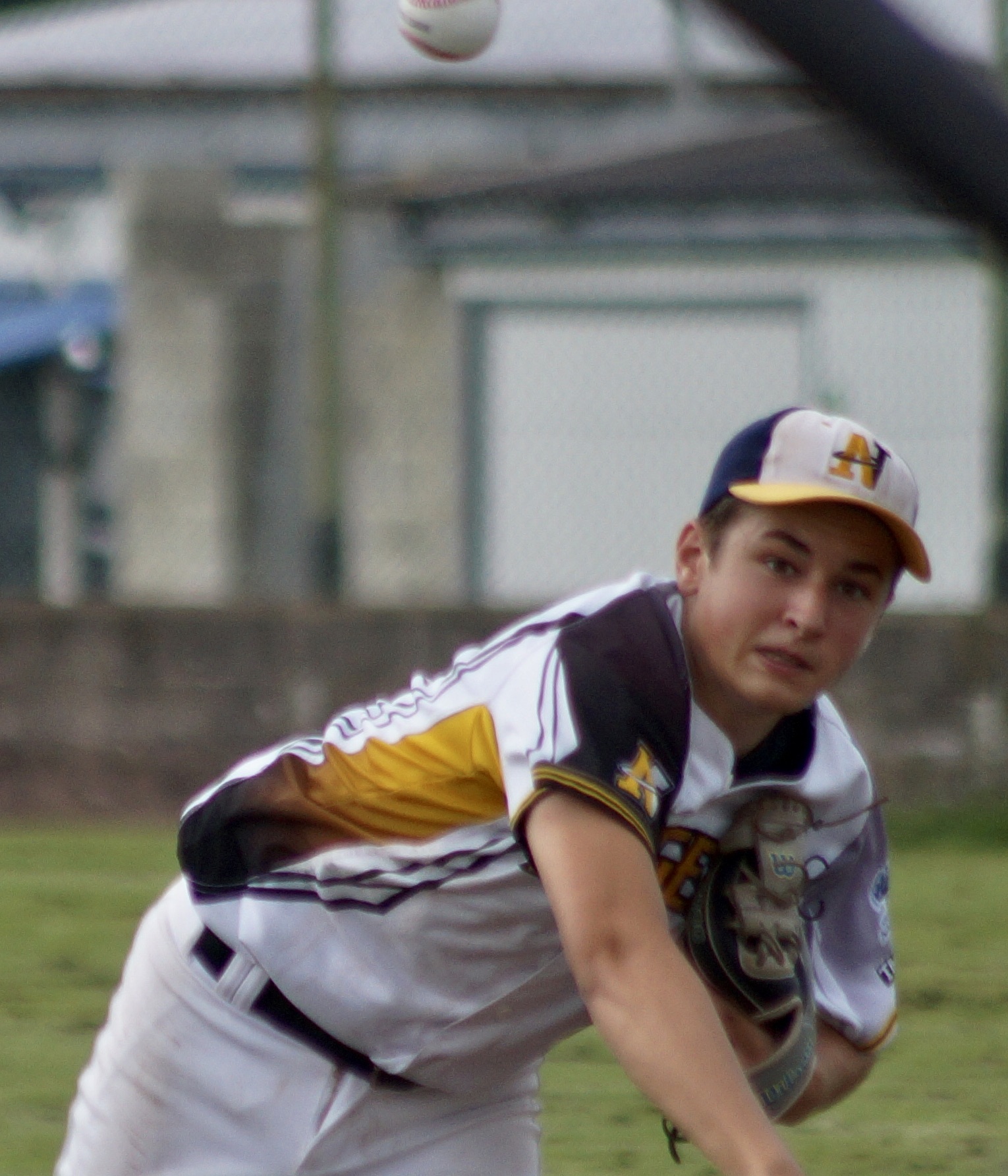 5DDA7048-62DC-4C41-9E99-BE898E6F5912_1_201_a