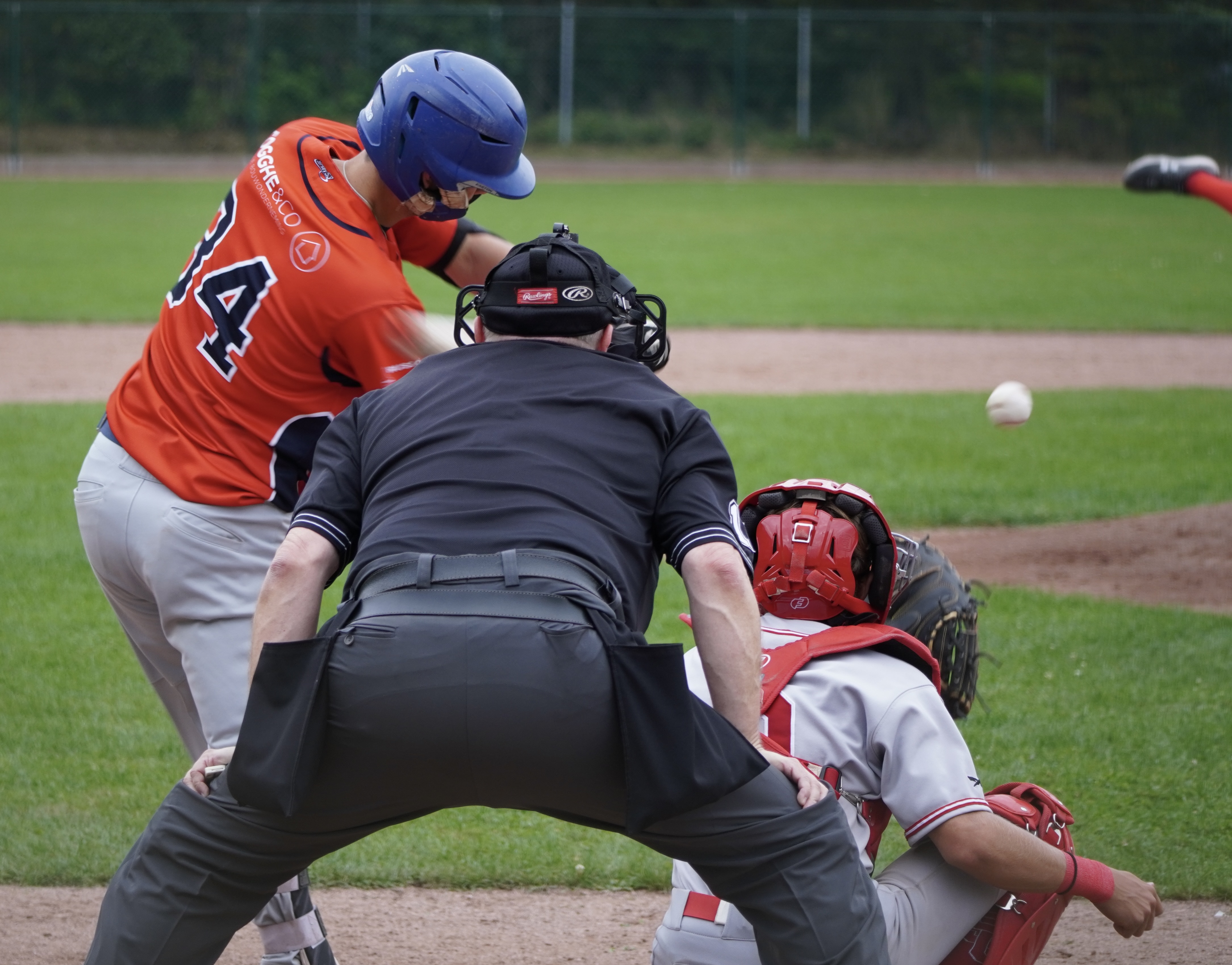 23C13F40-16F5-4279-B383-9D7B926B6194_1_201_a